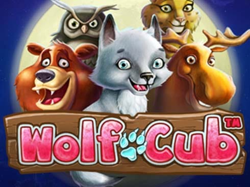 وولف کب game thumbnail